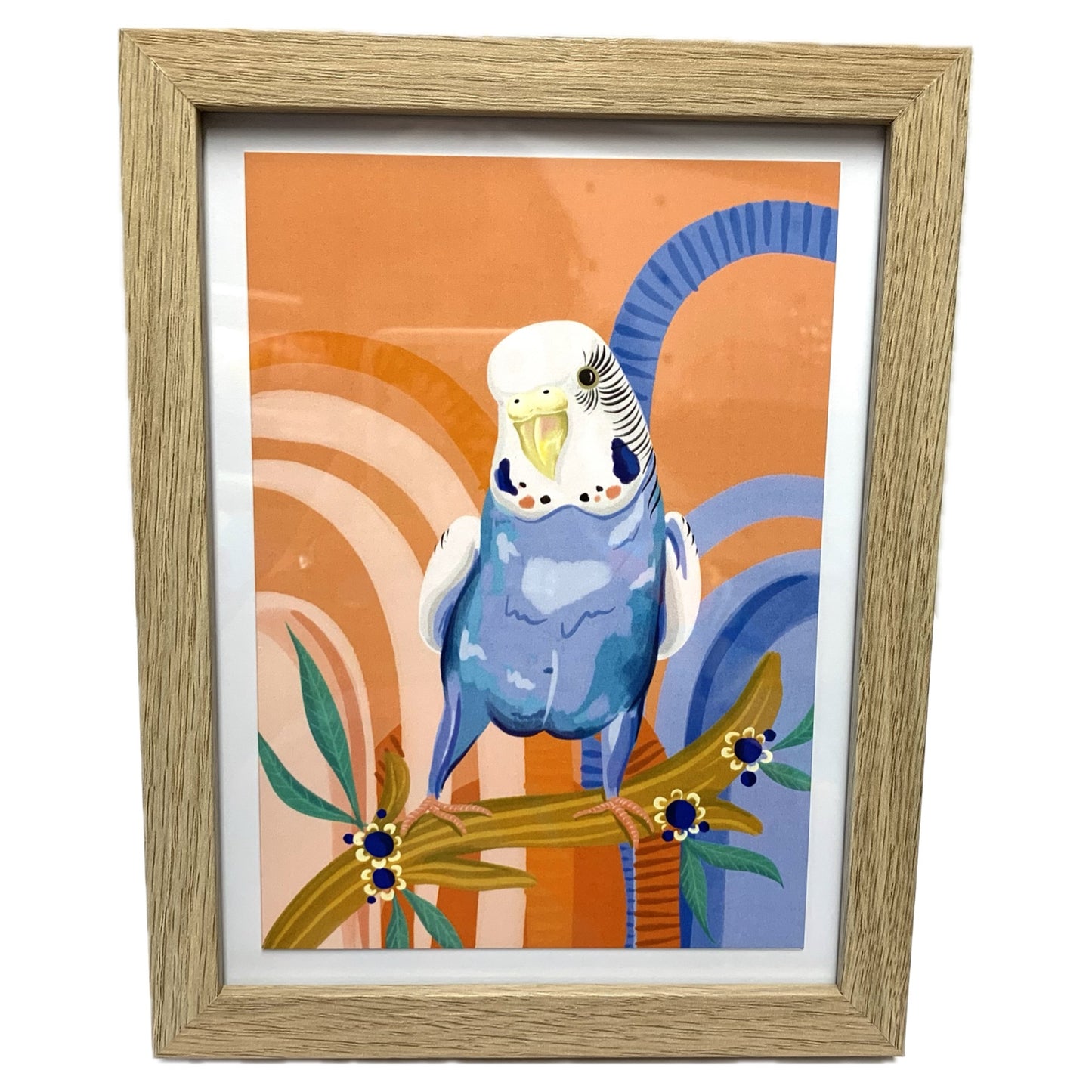 NUOVO - "Blue Budgie" Framed Image- by Emma Whitelaw