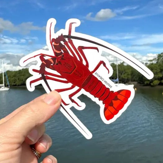 SAILFISH CREATIVE- "Crayfish/Lobster" Vinyl Sticker