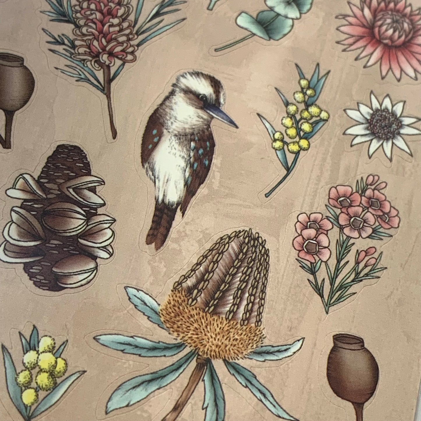 TYPOFLORA - Sticker Sheet - Australiana