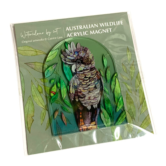 WATERCOLOURS BY CAT- Black Cockatoo- Australian Bird Art Magnet