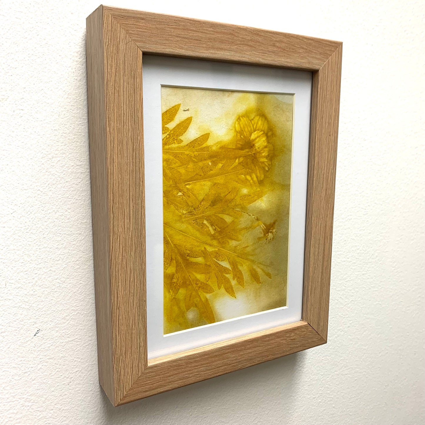 WILD BRASS- "Yellow Flower & Foliage"- BOTANICAL ECO DYED PAPER FRAMED ARTWORK