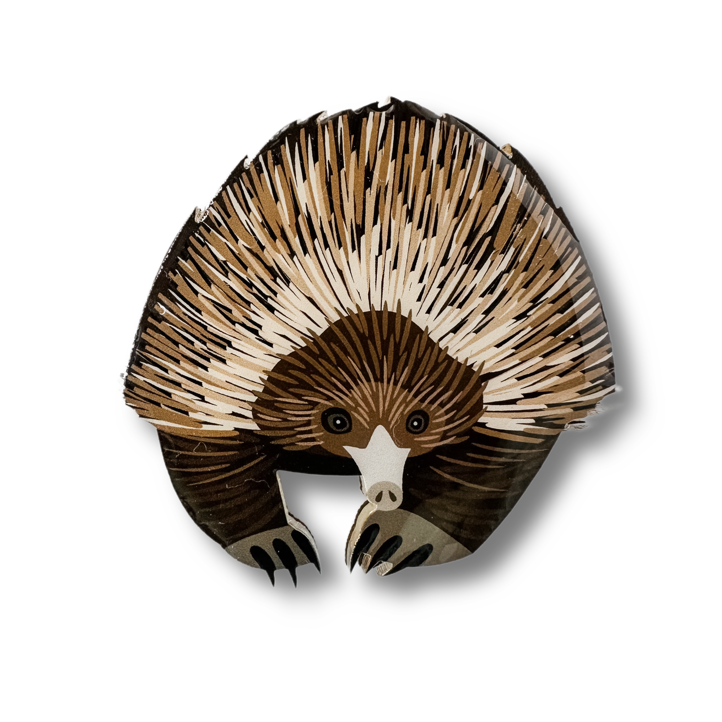 SELATAN- Short-beaked Echidna Brooch