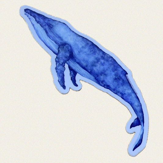 Shanna Trees Creations- Whale Large Sticker