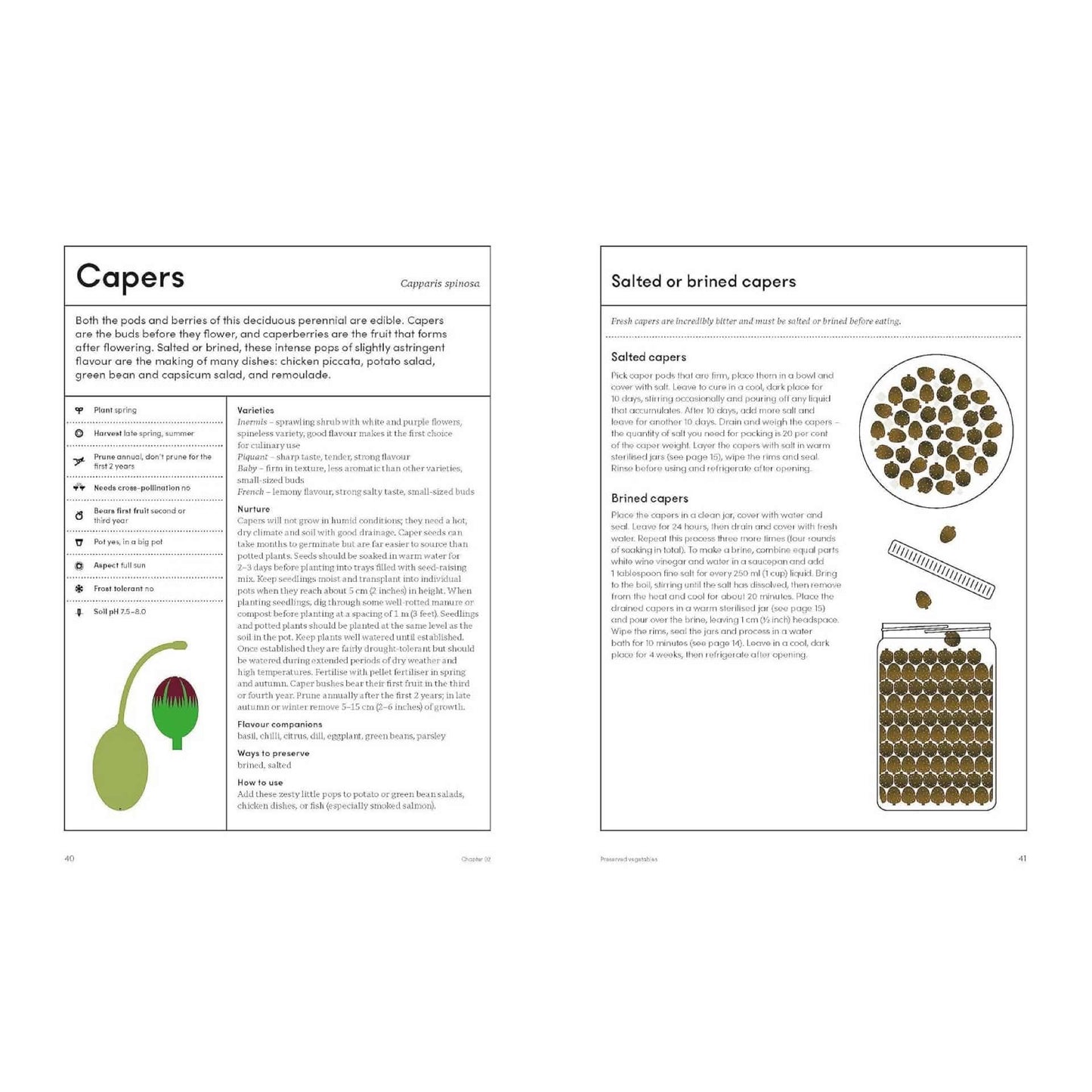 BOOKS & CO - THE PRESERVING GARDEN - Jo Turner