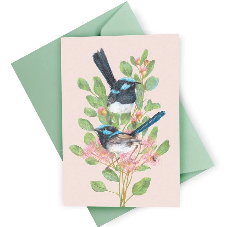 KAYLA REAY- Superb Fairy-Wrens Greeting Card