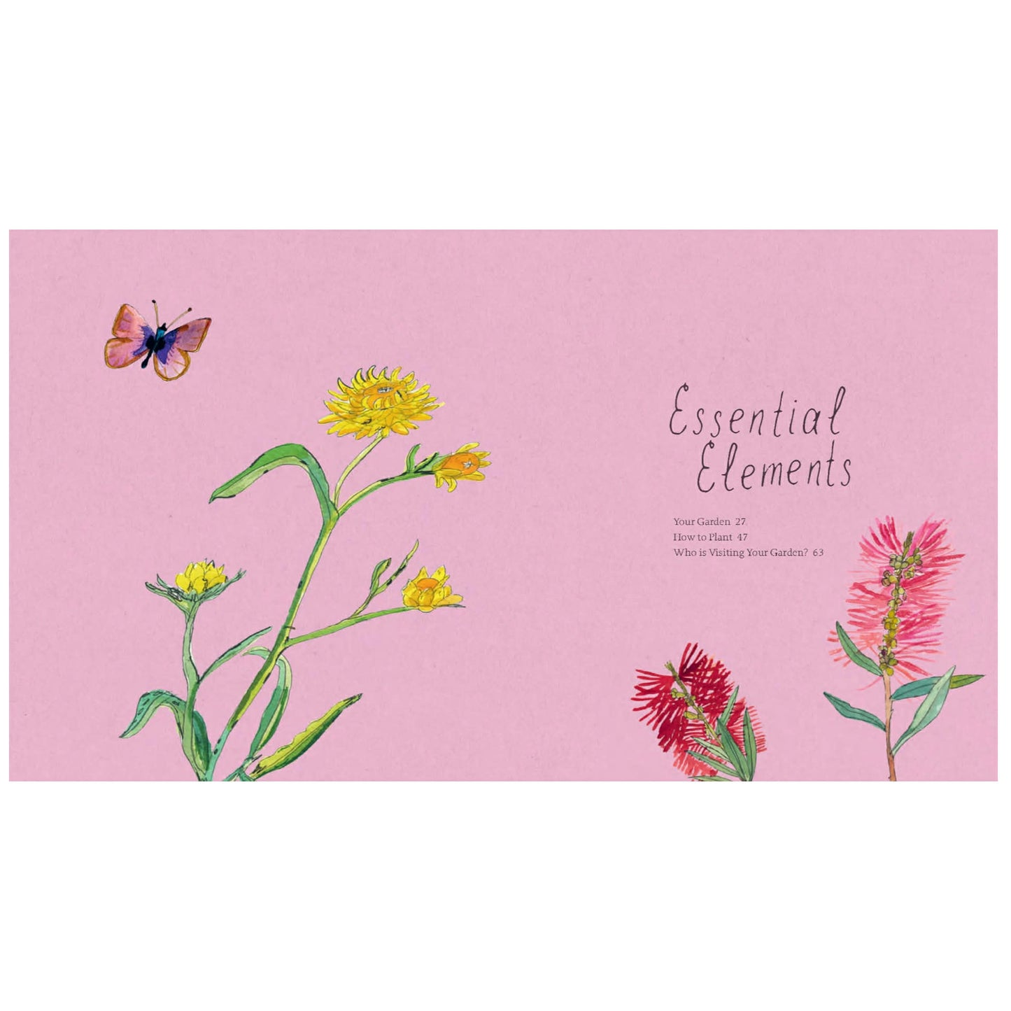 BOOKS & CO - Planting for Native Birds, Bees and Butterflies - Jaclyn Crupi