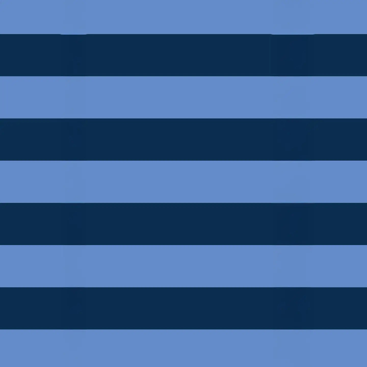 PROJECT TEN - "Blue Stripe" Folding Pocket Shopper