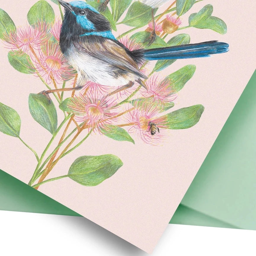 KAYLA REAY- Superb Fairy-Wrens Greeting Card