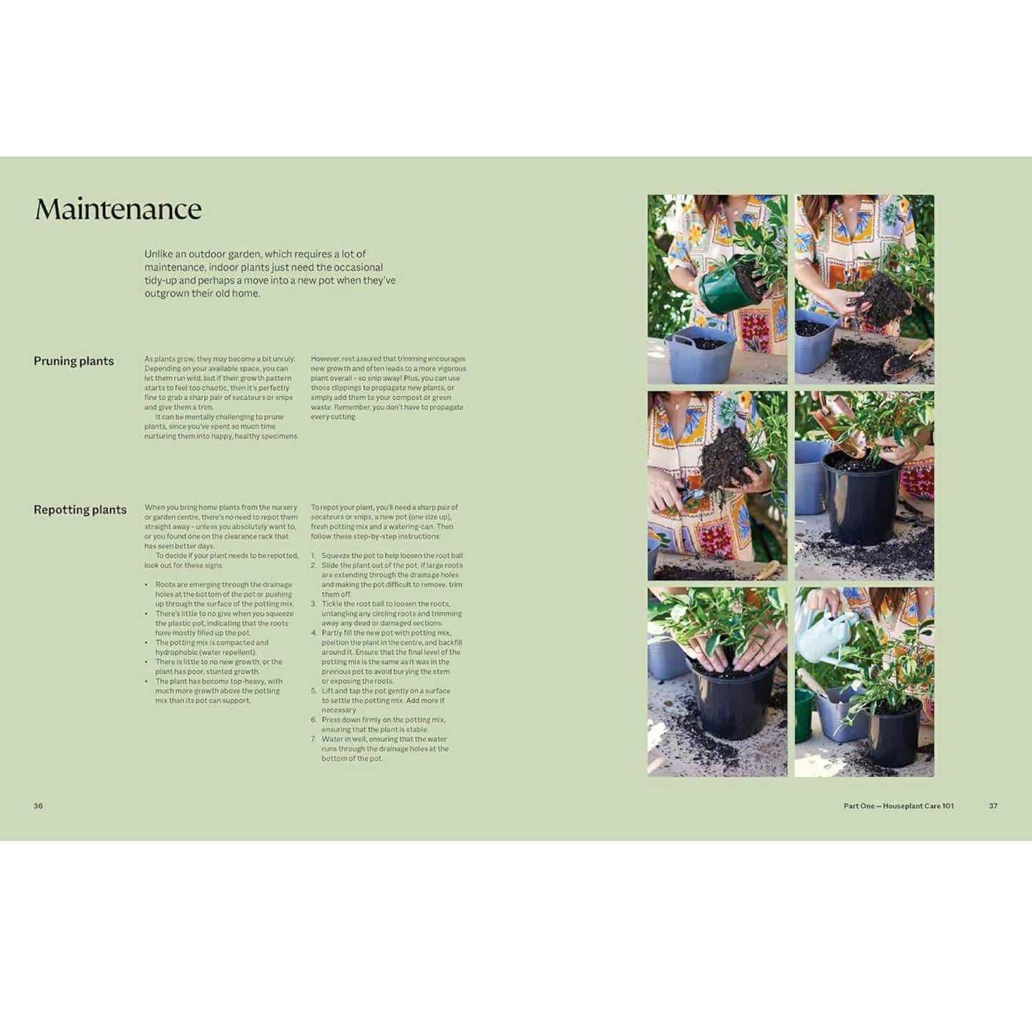 BOOKS & CO - THE PLANT BOOK