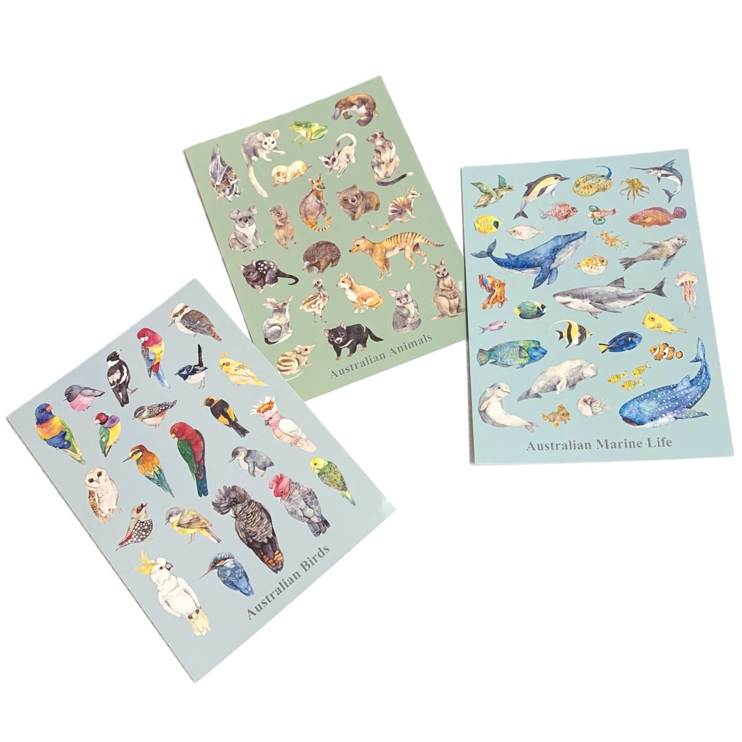 WATERCOLOURS BY CAT- Australian Marine Animals - Recycled Postcard