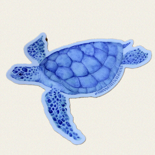 Shanna Trees Creations- Loggerhead Turtle Sticker
