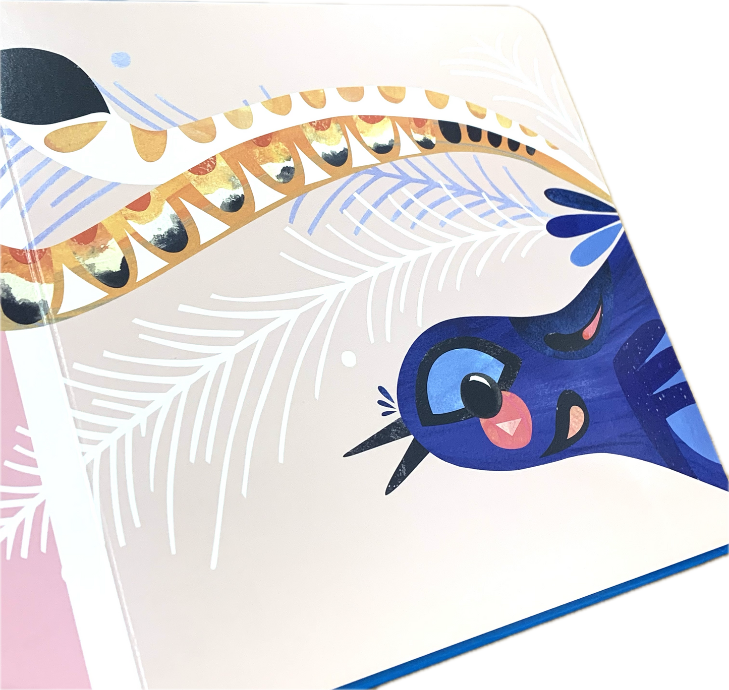 BOOKS & CO - PETE CROMER: AUSTRALIA: FEATHERS - Board Book