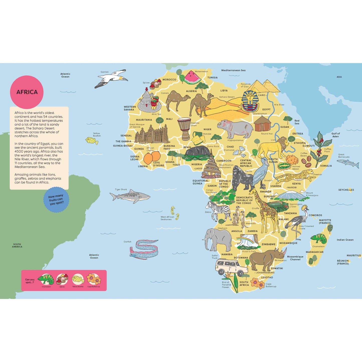 BOOKS & CO- Spot It: Around the World Atlas- Board Book