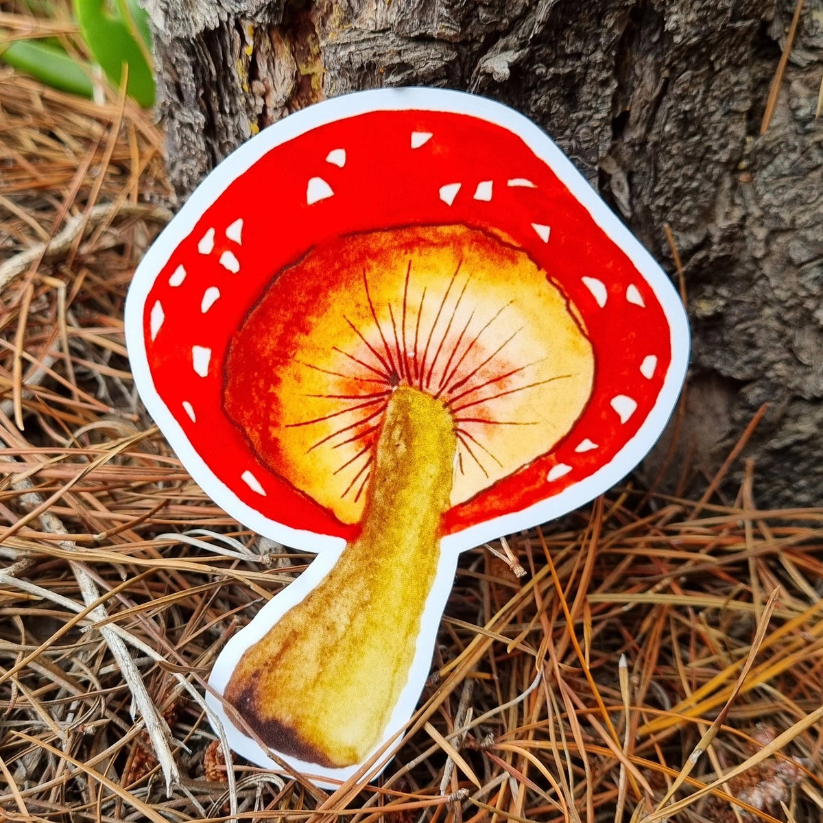BOSA ART CO - "MUSHROOM"- Vinyl Sticker