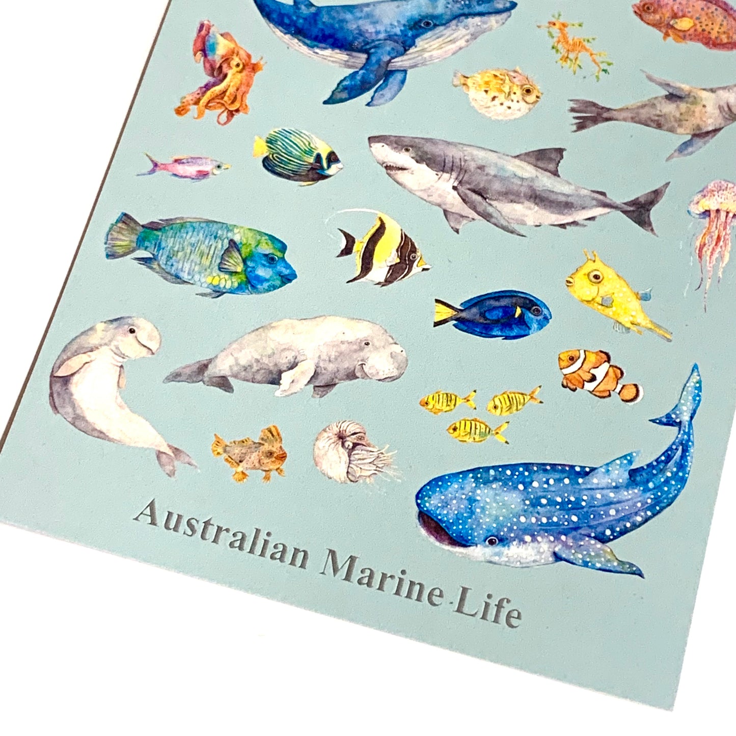 WATERCOLOURS BY CAT- Australian Marine Animals - Recycled Postcard