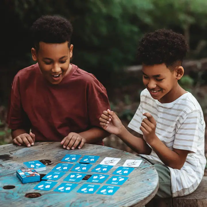 YOUR WILD BOOKS- Wild Memory Card Game