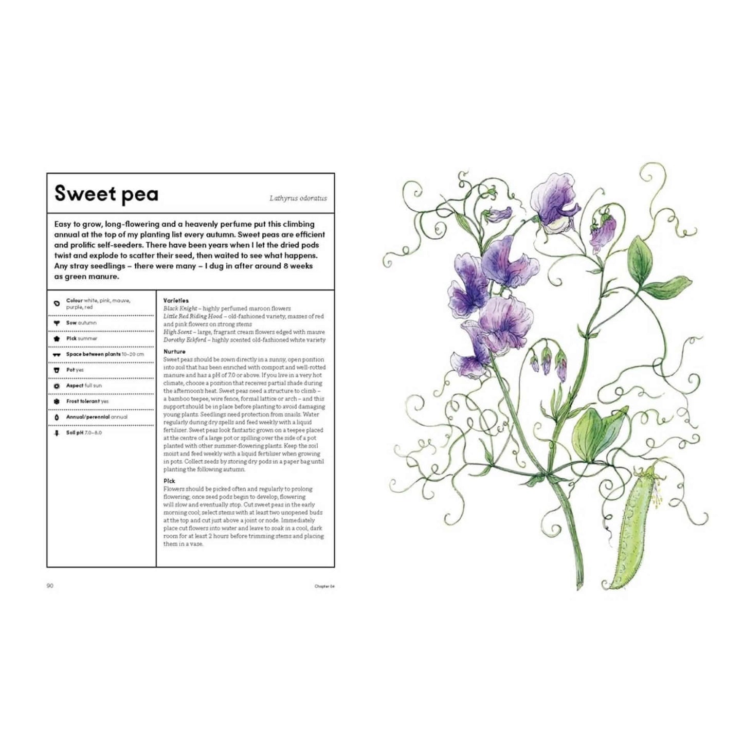 BOOKS & CO - THE PICKING GARDEN - Jo Turner