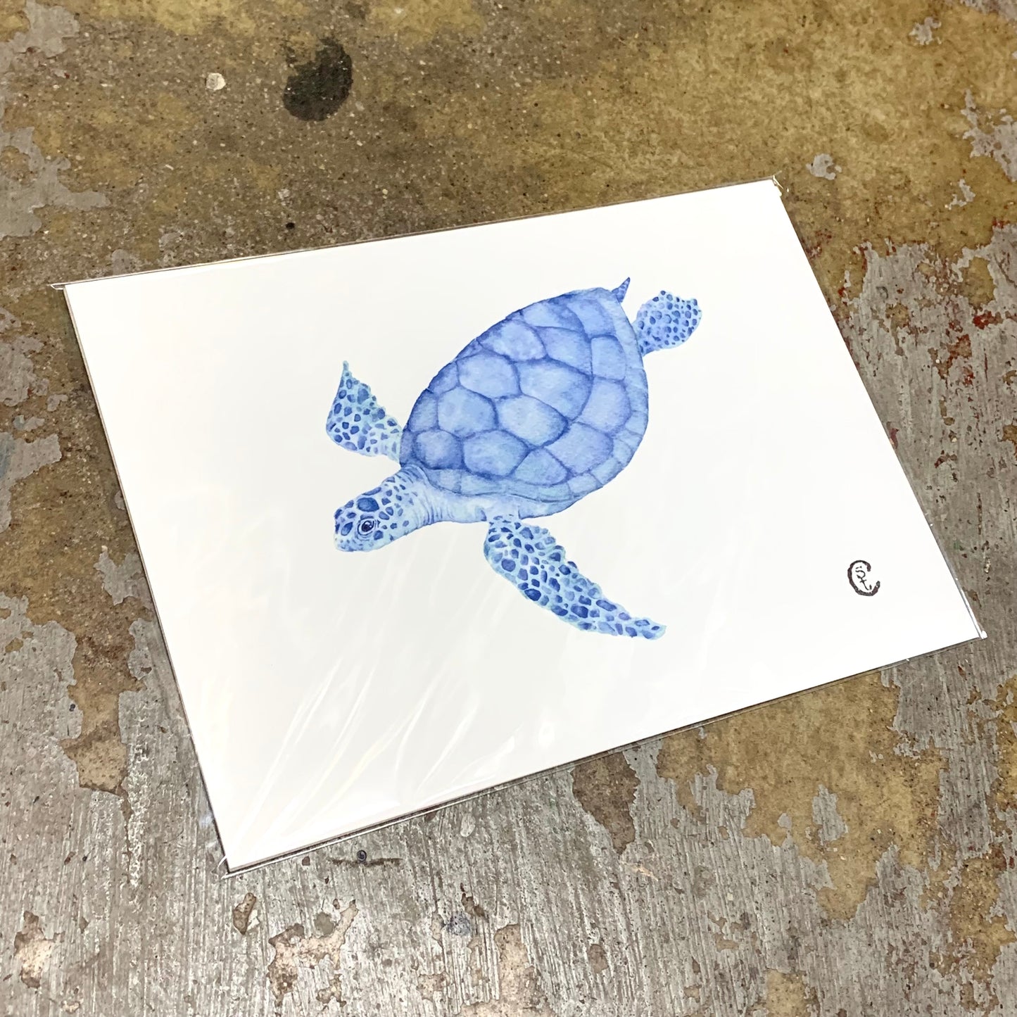 Shanna Trees Creations- "Loggerhead Turtle" A4 Art Print