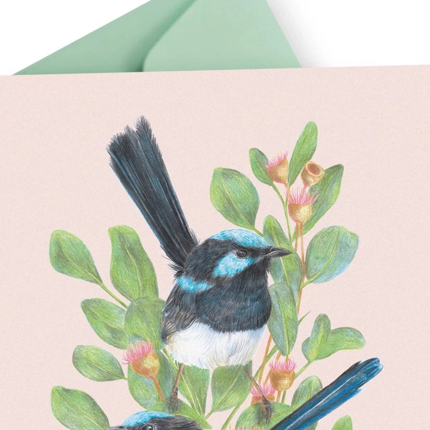 KAYLA REAY- Superb Fairy-Wrens Greeting Card