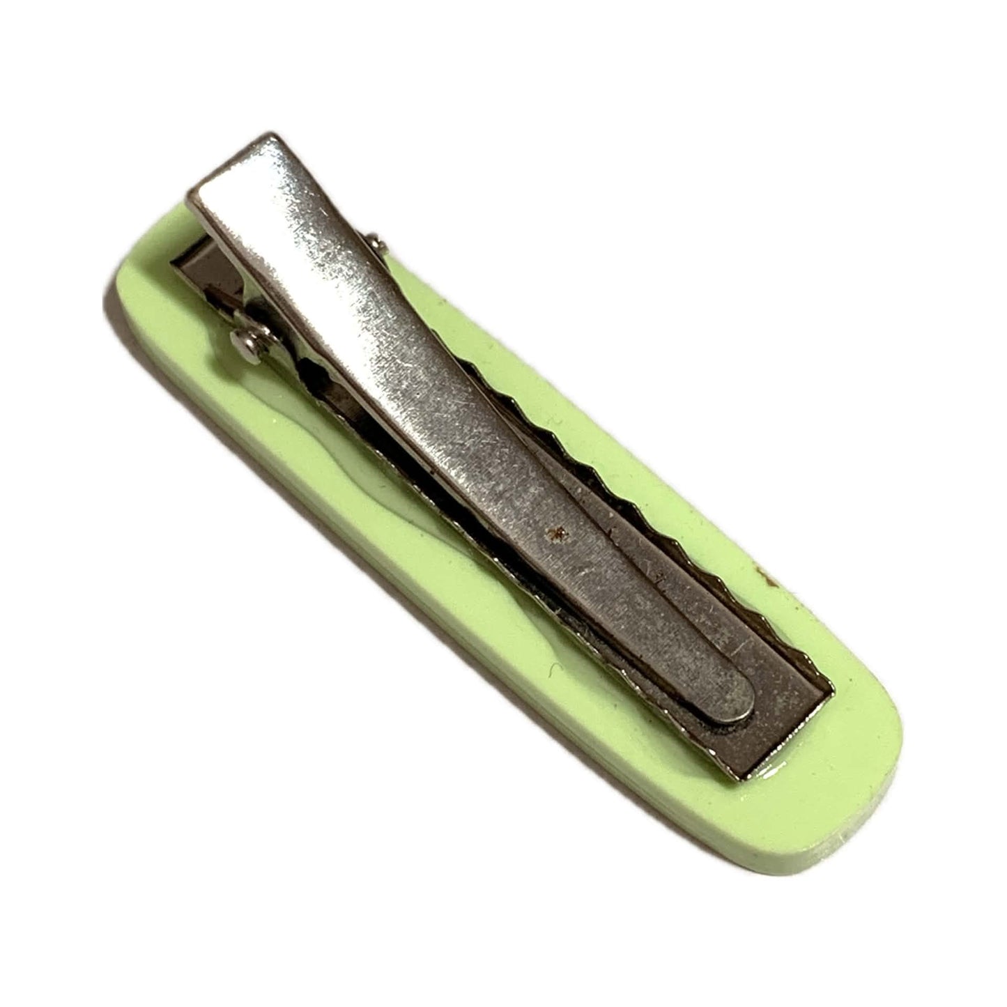 THIS BIRD HAS FLOWN - Light Green - Small Acrylic Alligator Hair Clip