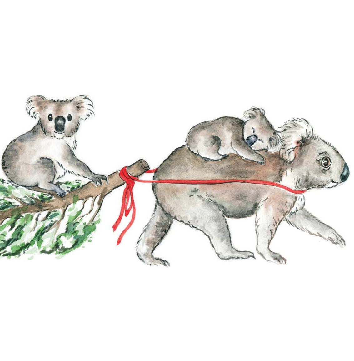 NUOVO - "CHRISTMAS KOALAS" GREETING CARD