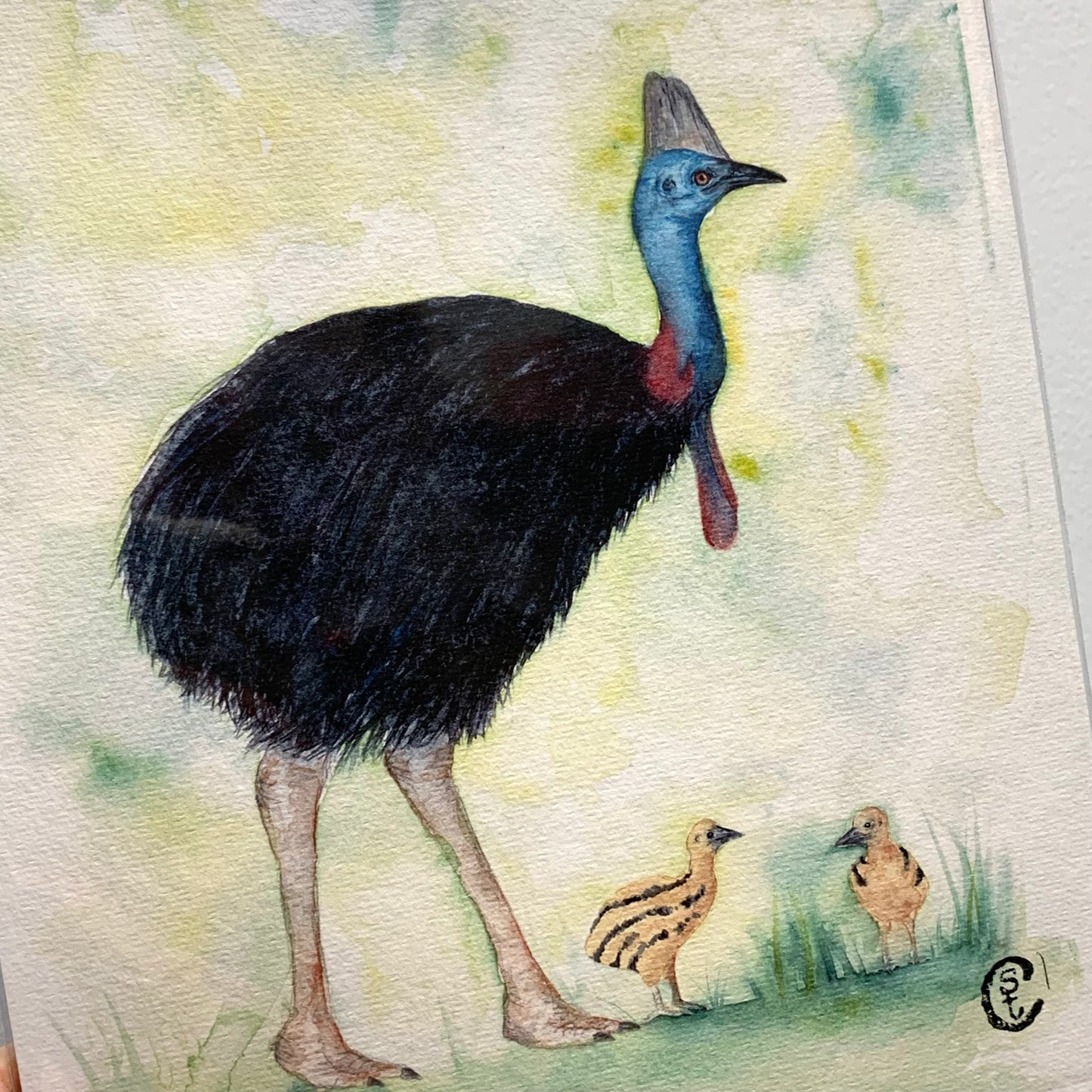 Shanna Trees Creations- "Cassowary & Chicks" A4 Art Print