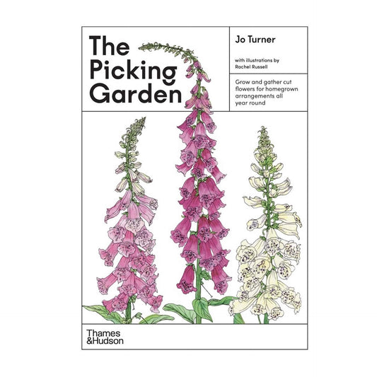 BOOKS & CO - THE PICKING GARDEN - Jo Turner