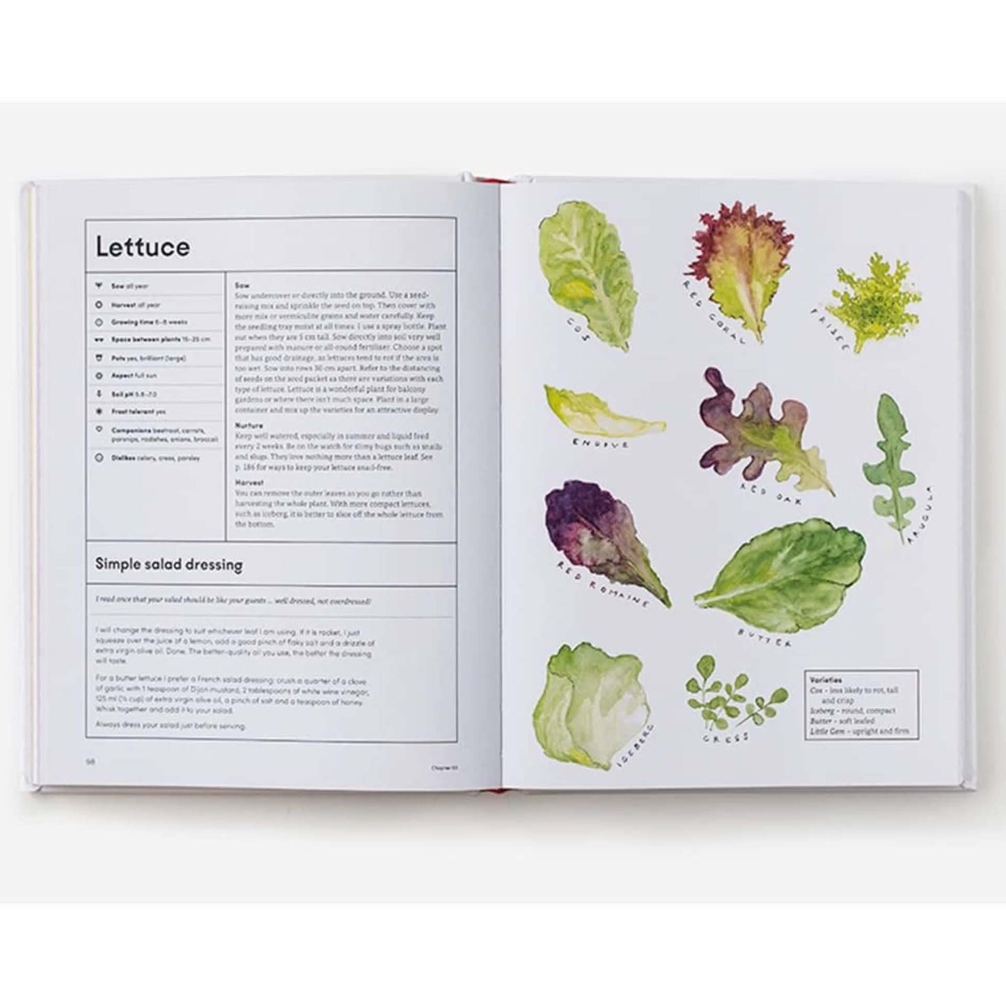 BOOKS & CO - THE KITCHEN GARDEN - Lucy Mora