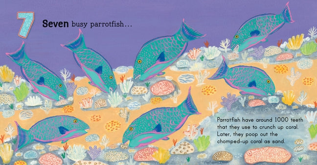 BOOKS & CO - Australia Under the Sea 123 by Frane Lessac- Small Board Book
