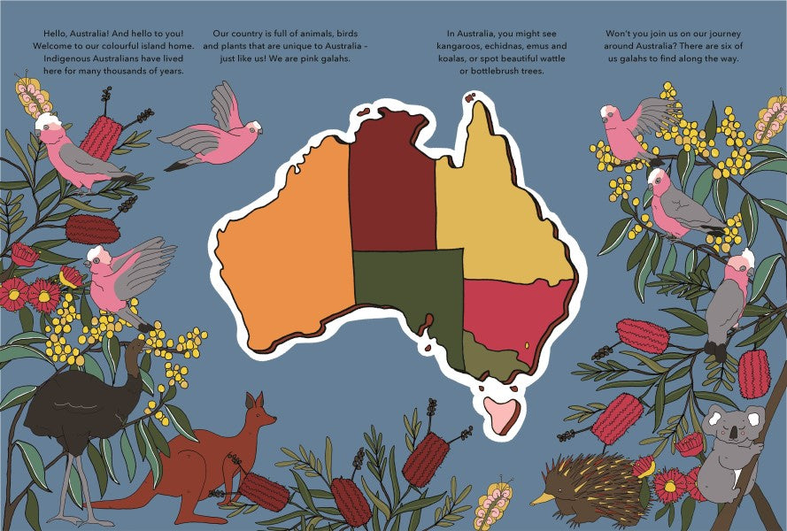 BOOKS & CO- HELLO, AUSTRALIA! By Megan McKean
