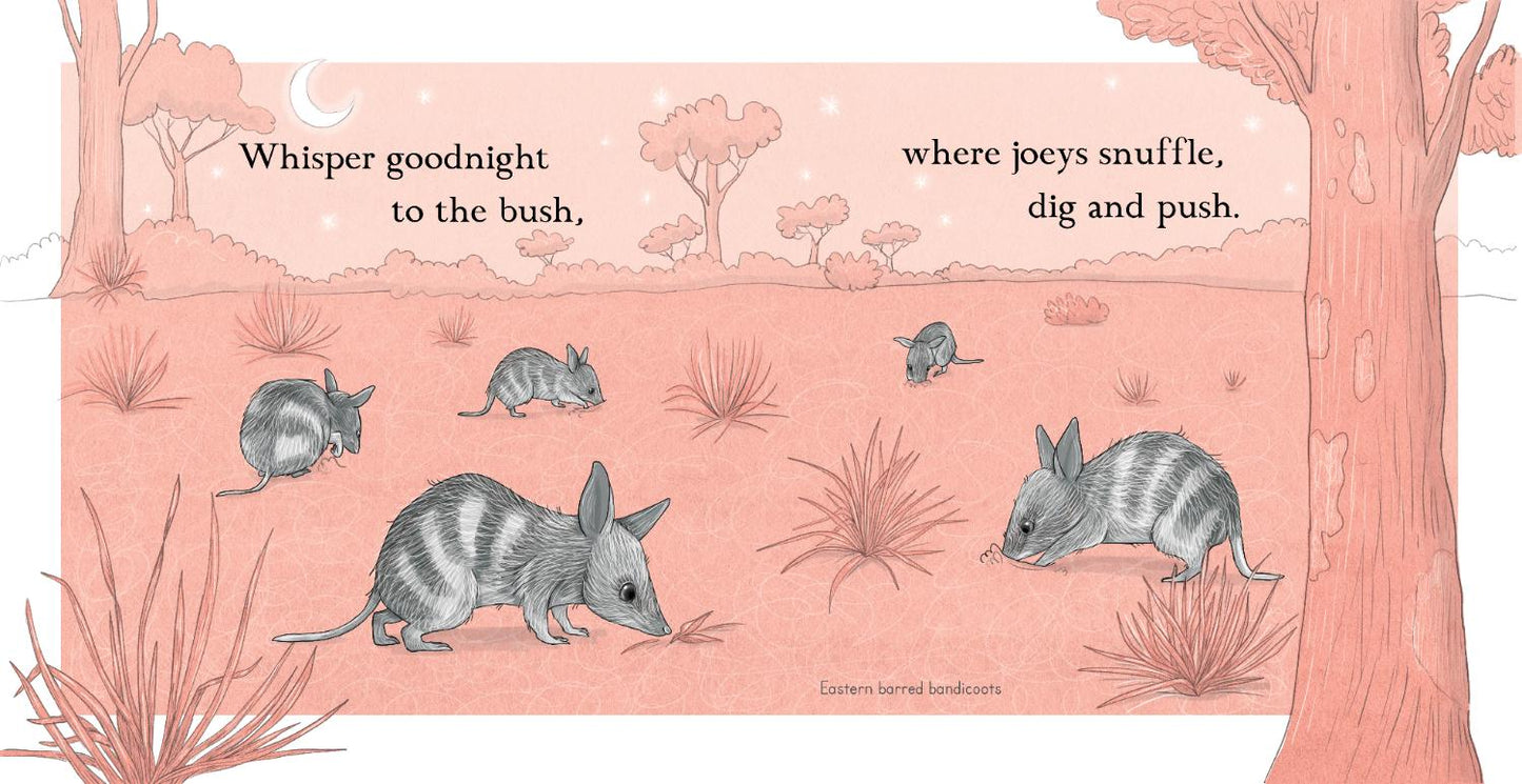BOOKS & CO - RENEE TREML - Goodnight Joeys - Small Board Book