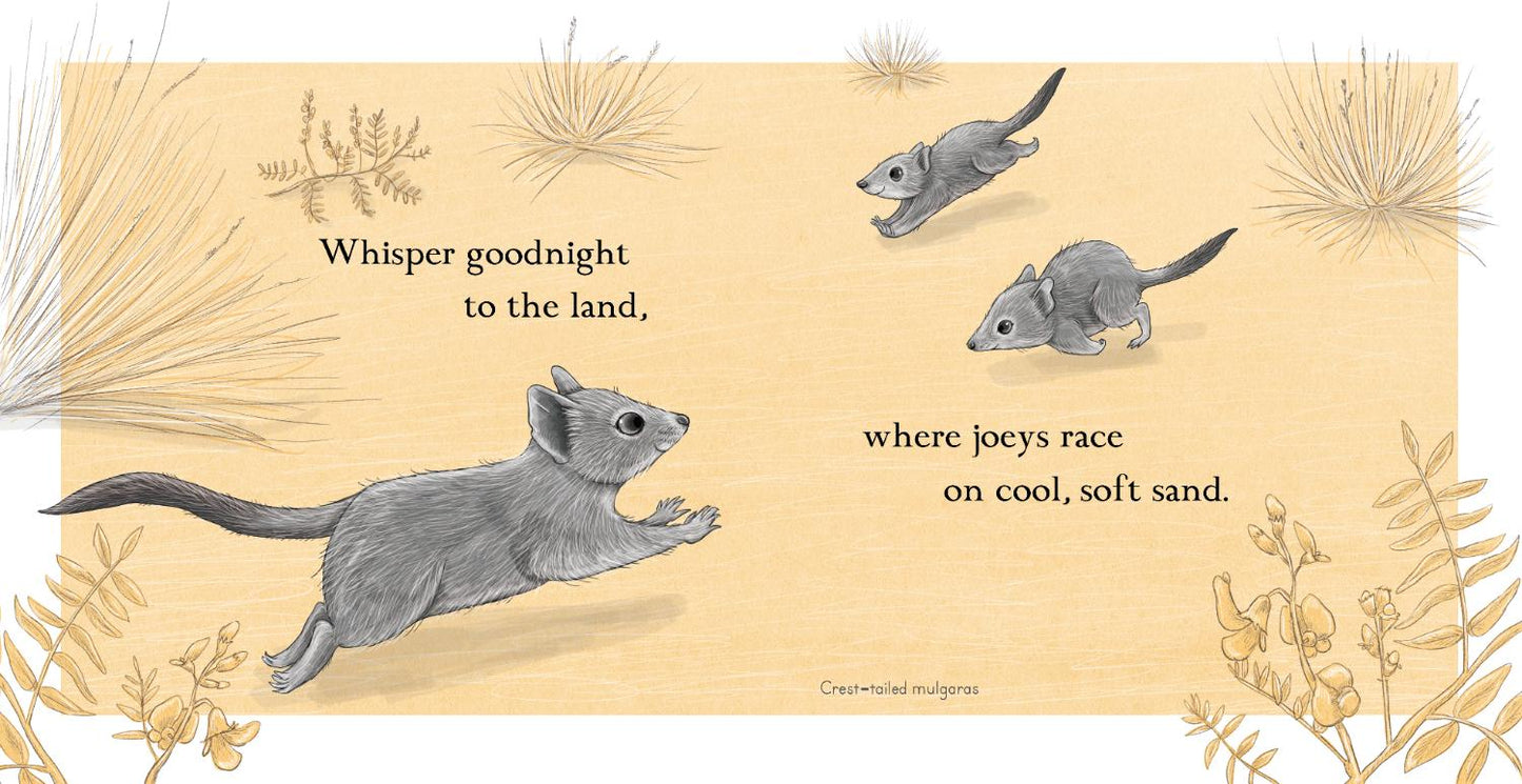 BOOKS & CO - RENEE TREML - Goodnight Joeys - Small Board Book
