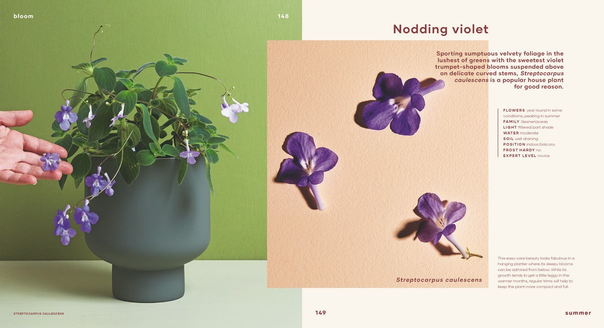 BOOKS & CO - Bloom Flowering Plants for Indoors and Balconies- From Leaf Supply
