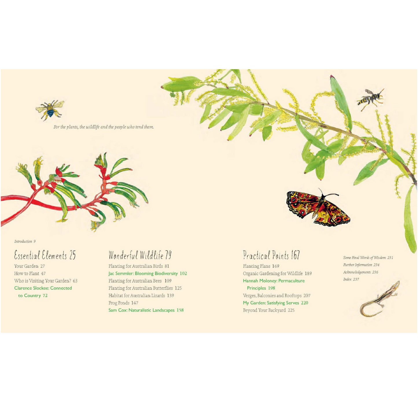 BOOKS & CO - Planting for Native Birds, Bees and Butterflies - Jaclyn Crupi