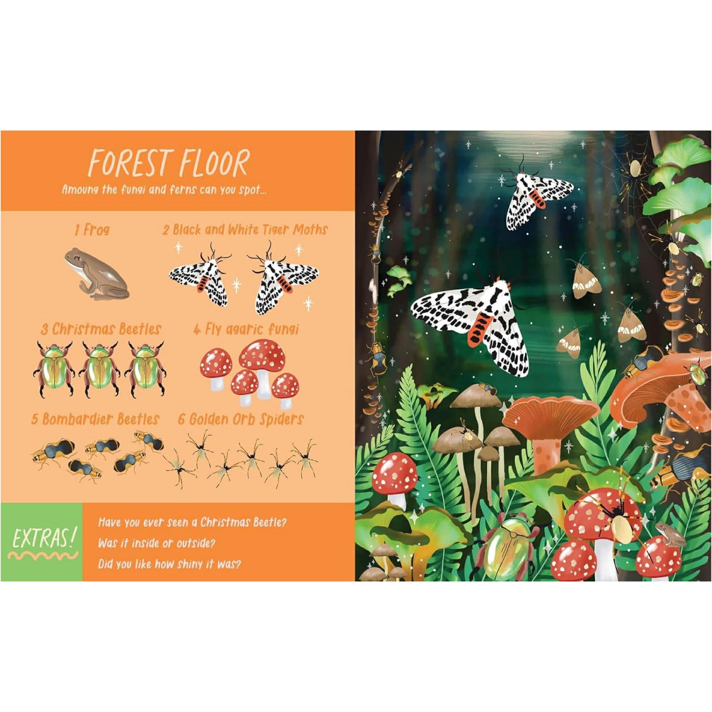 BOOKS & CO - NOCTURNAL ANIMALS: SEARCH AND FIND- Christie Williams