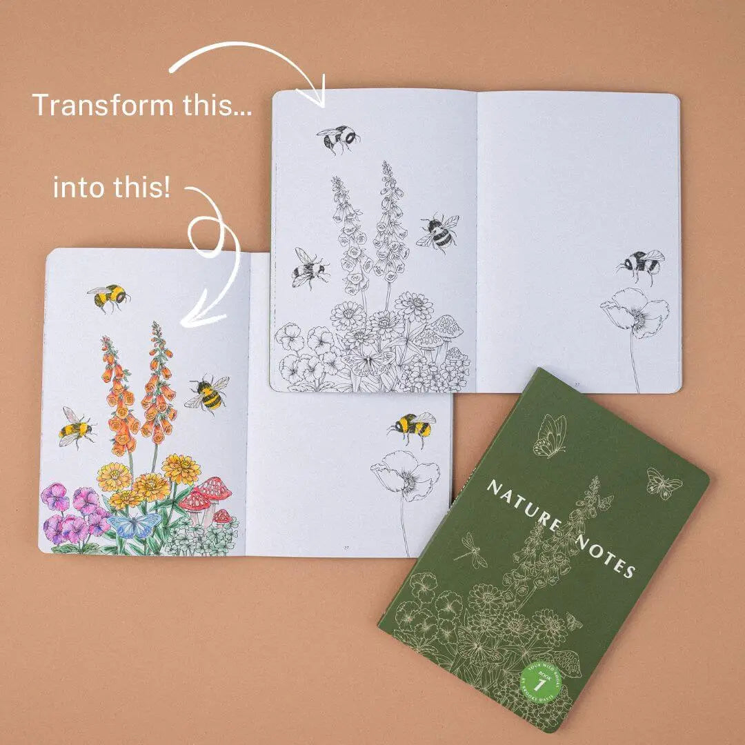 YOUR WILD BOOKS- Nature Notes 1 - Journal