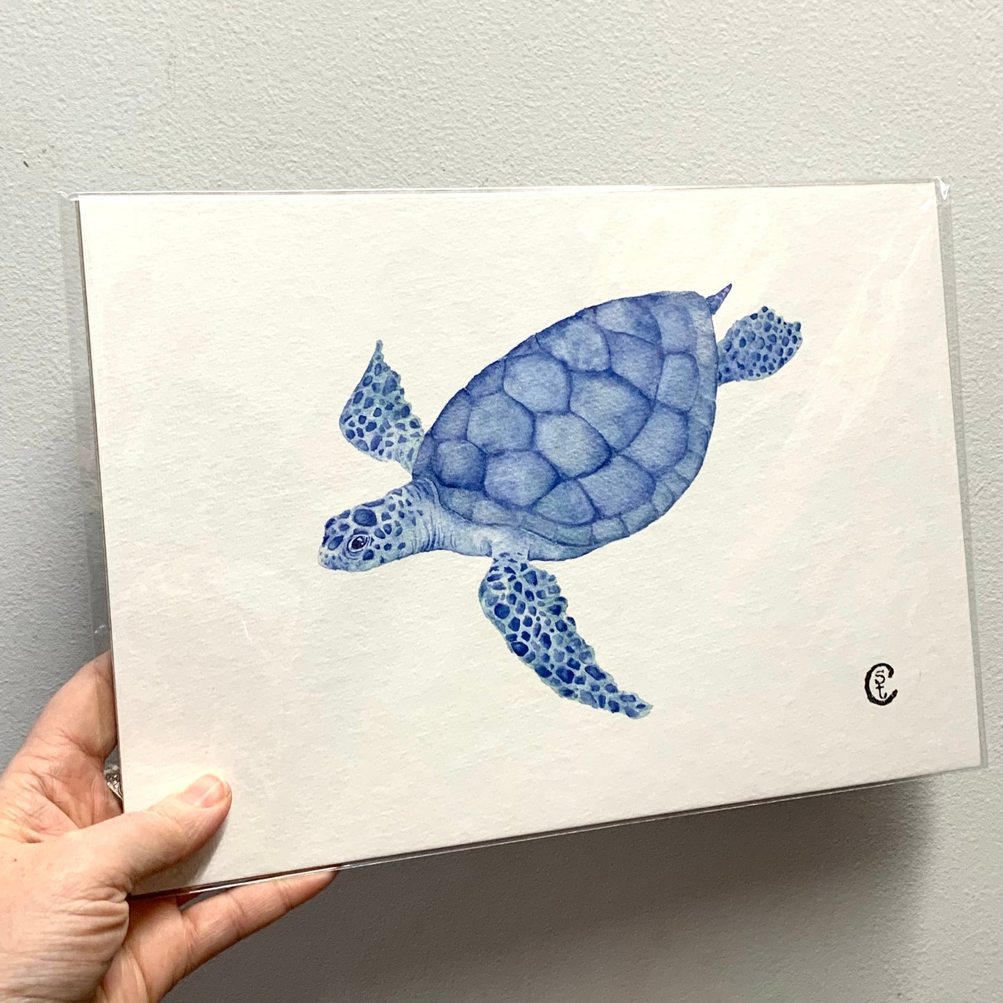 Shanna Trees Creations- "Loggerhead Turtle" A4 Art Print