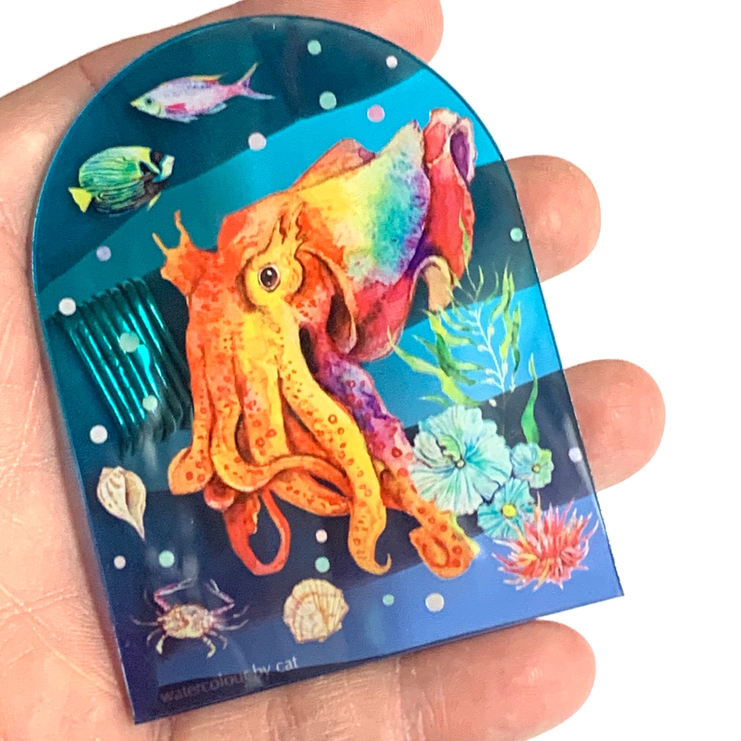 WATERCOLOURS BY CAT- Cuttlefish- Australian Marine Animal Art Magnet