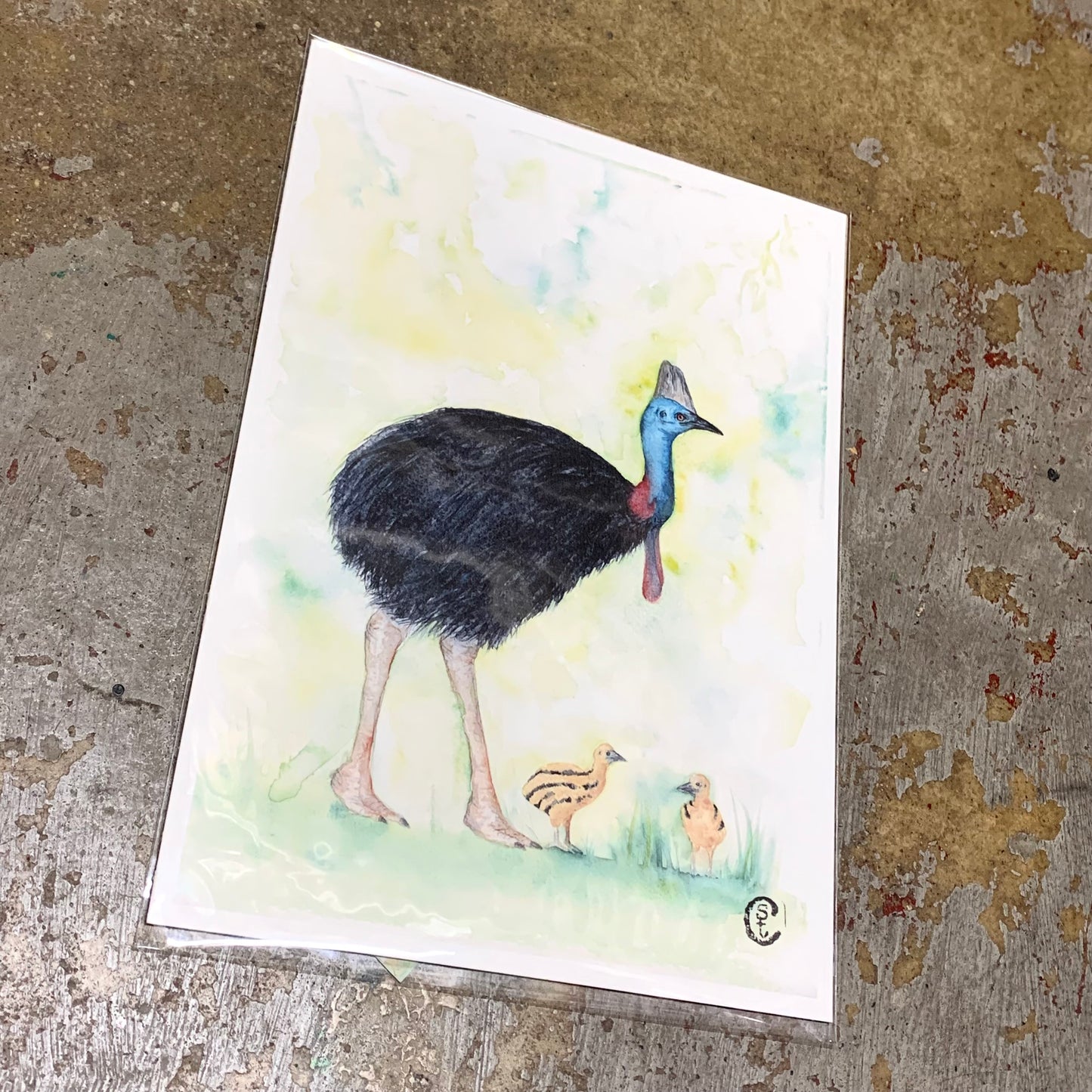 Shanna Trees Creations- "Cassowary & Chicks" A4 Art Print