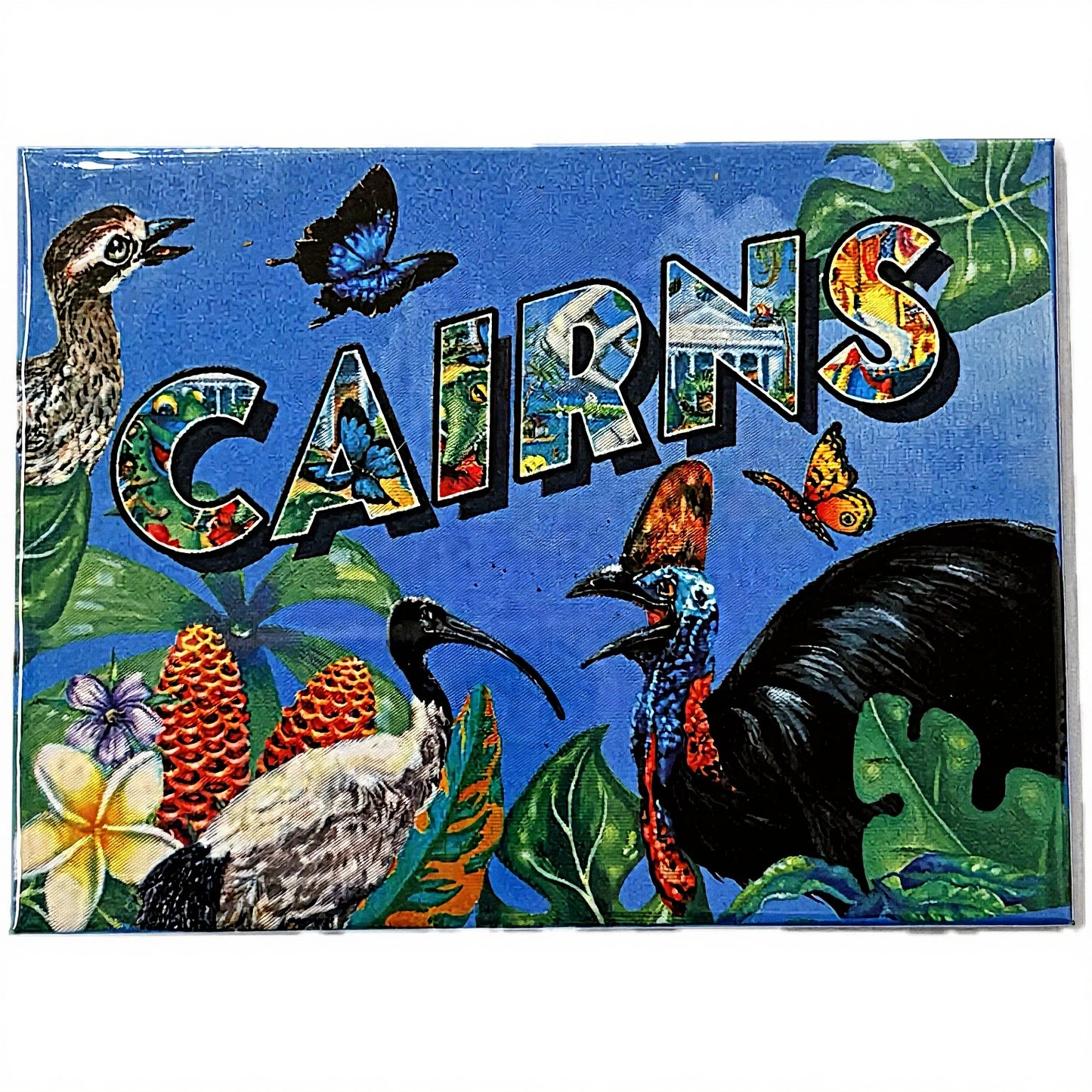 HAYLEY GILLESPIE - Cairns BIRDS - MAGNET