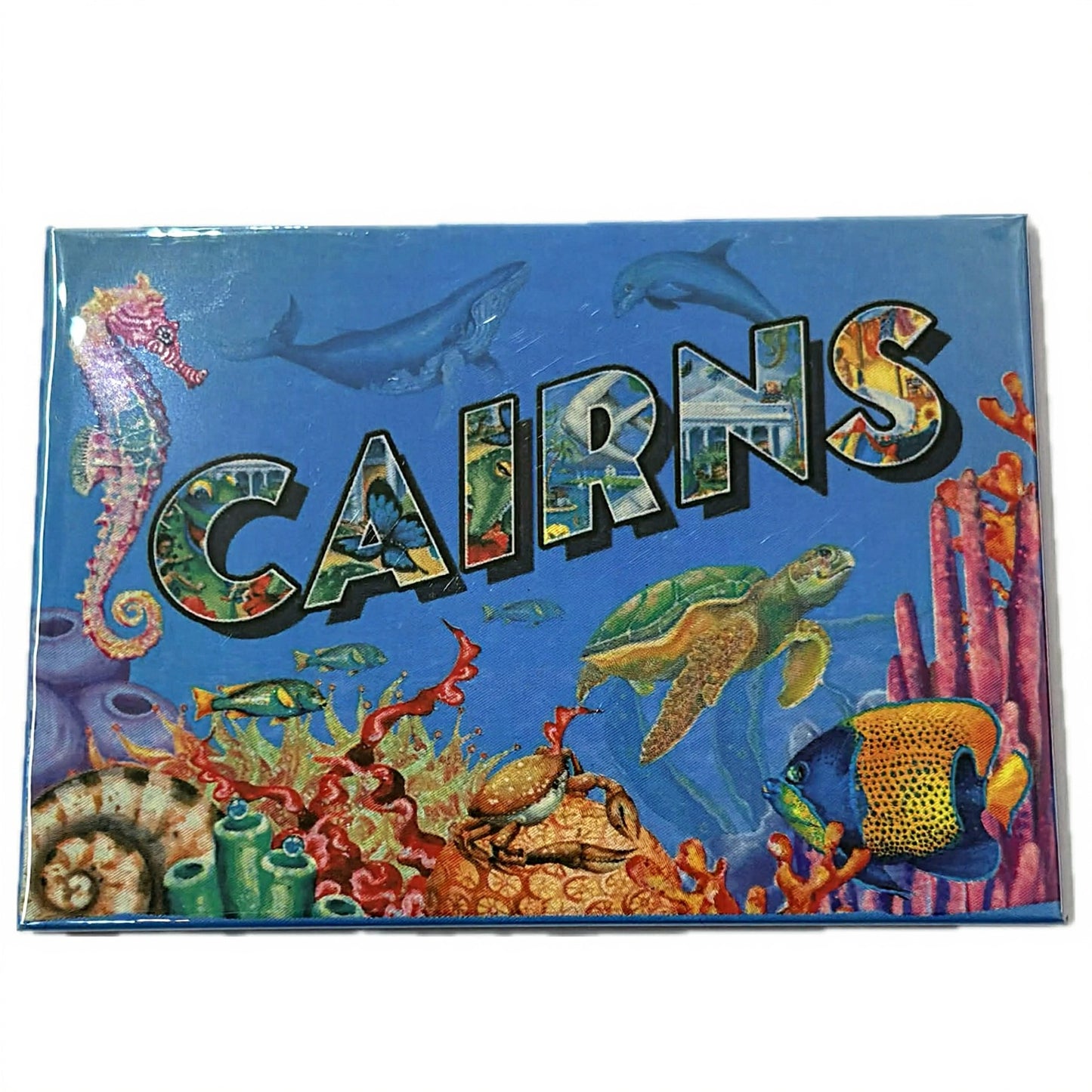 HAYLEY GILLESPIE - Cairns REEF - MAGNET
