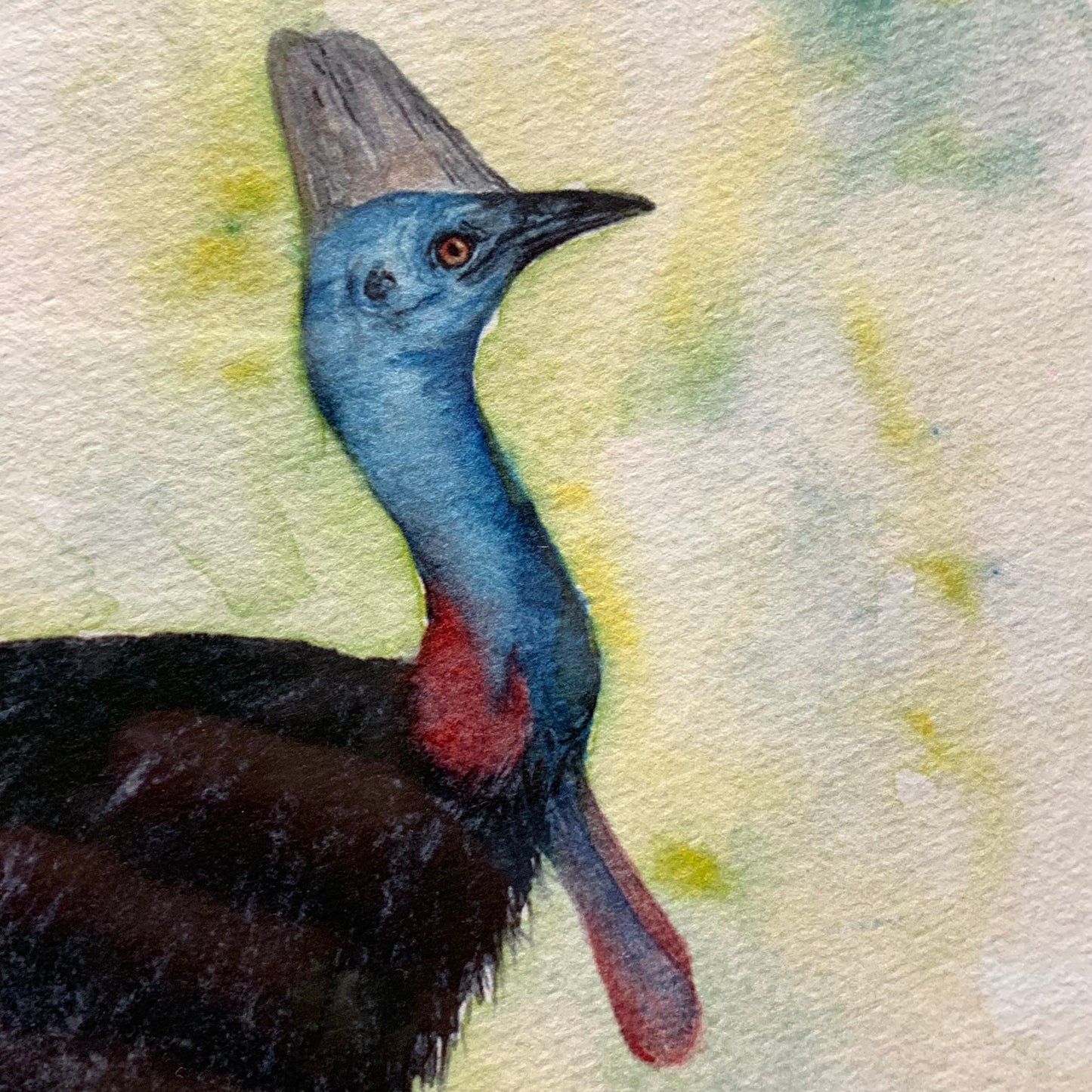 Shanna Trees Creations- "Cassowary & Chicks" A4 Art Print