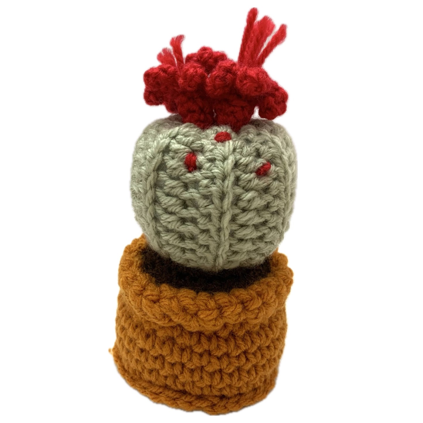 BEAKNITS- CROCHETED CACTUS #3- Red & Sage Green