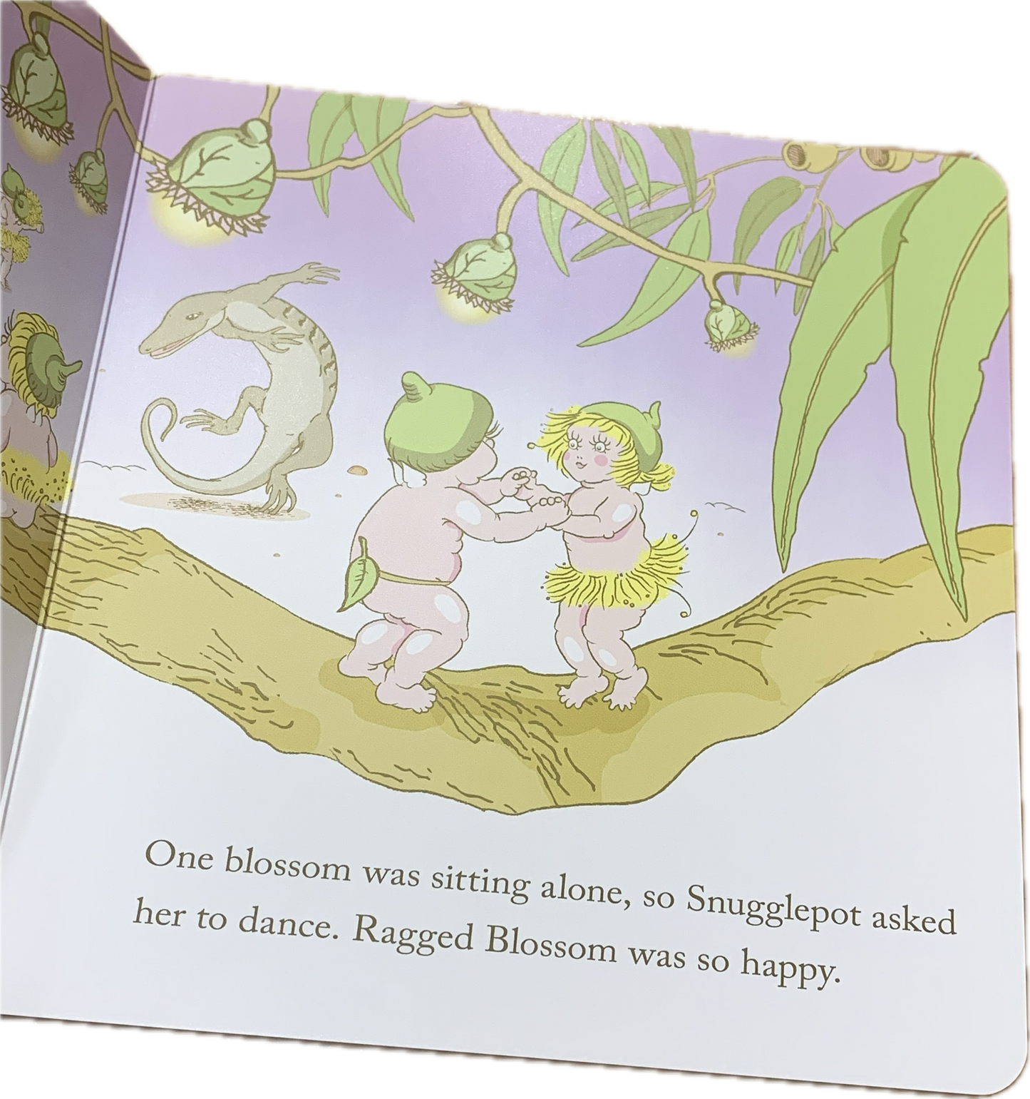 BOOKS & CO - MEET SNUGGLEPOT & CUDDLEPIE-MAY GIBBS - Board Book- CLASSIC