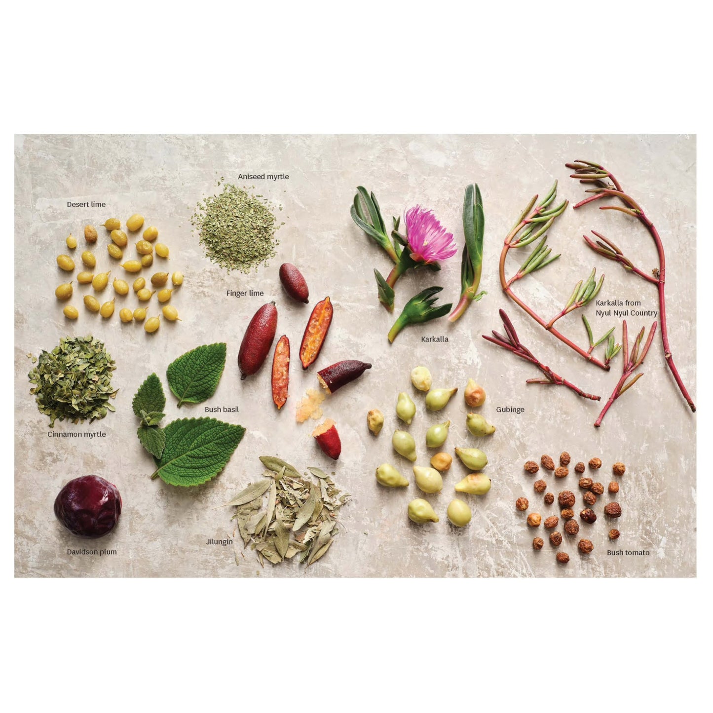 BOOKS & CO - The Australian Ingredients Kitchen: Simple recipes using bushfoods- Cook Book