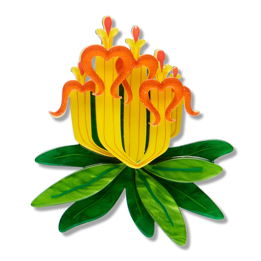 ERSTWILDER - " Long-flower Mistletoe" Brooch - ROYAL BOTANIC GARDENS VICTORIA