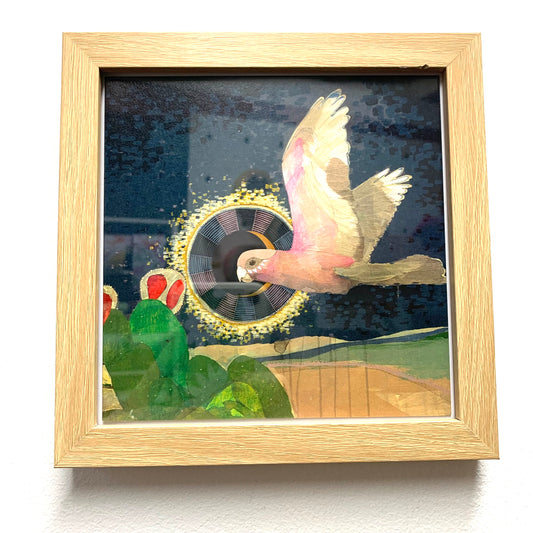 DANA KINTER - "Flying Galah"- Framed Image