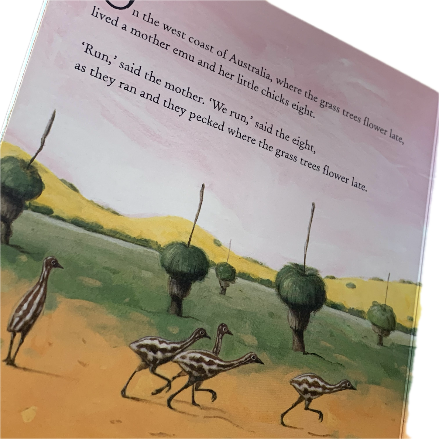 BOOKS & CO - SOMEWHERE IN AUSTRALIA - Marcello Pennachio- Board Book