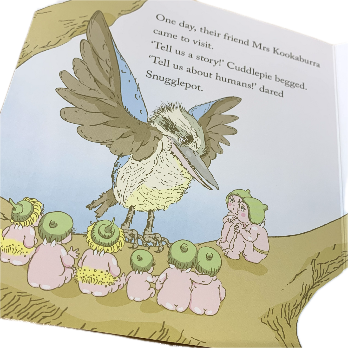 BOOKS & CO - MEET SNUGGLEPOT & CUDDLEPIE-MAY GIBBS - Board Book- CLASSIC