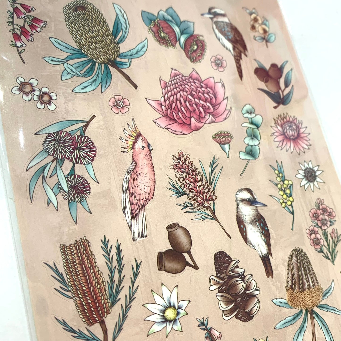 TYPOFLORA - Sticker Sheet - Australiana